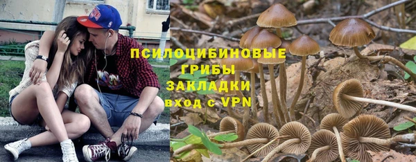 прущая мука Абаза