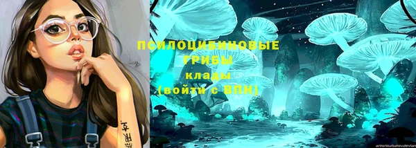прущая мука Абаза