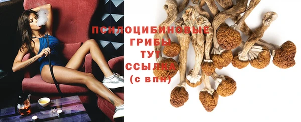 ешки Абдулино